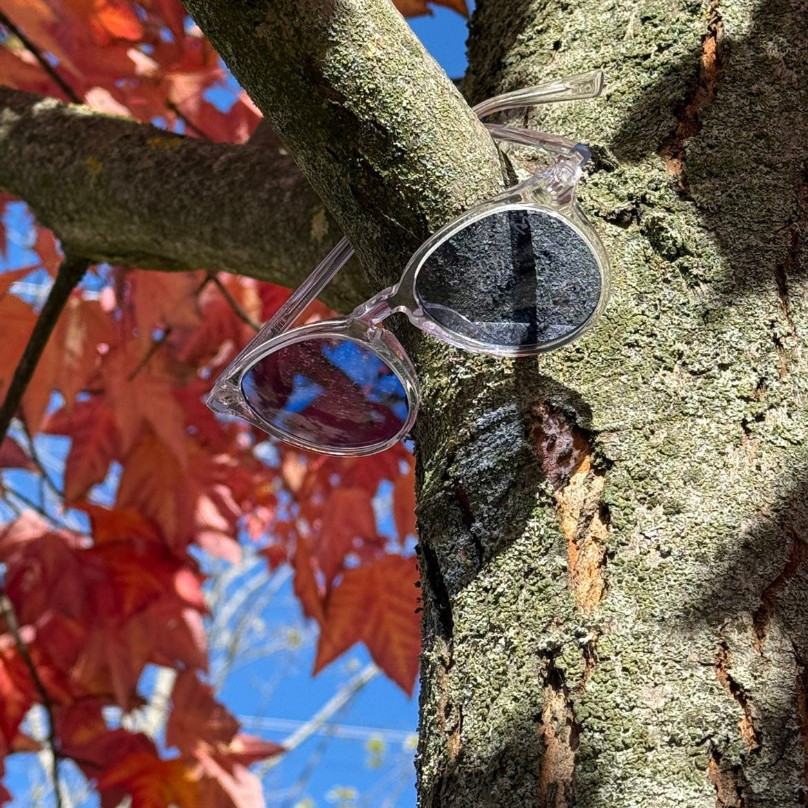 Dreamates X Make-A-Wish